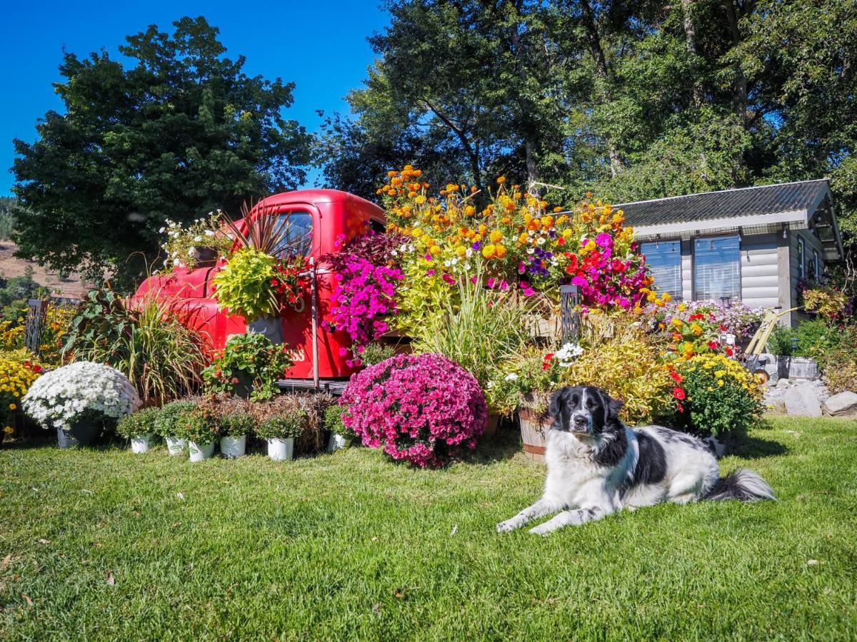 Rayleigh Riverfront Retreat- Peaceful Garden Oasis-25 Minutes To Ski Hill カムループス エクステリア 写真